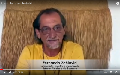 Depoimento Fernando Schiavini
